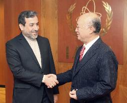 IAEA chief Amano meets with Iran's chief nuclear negotiator