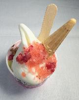Japanese chef wins E. Asian gelato competition