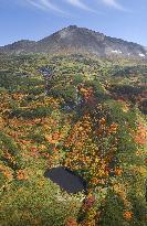Autumn leaves on Taisetsu Mountain Range in Hokkaido