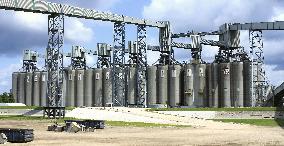 Grain business in U.S.