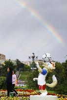 Football: Scenes from World Cup