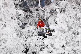 Japanese skier Taihei Kato