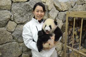 Panda breeder in Japan