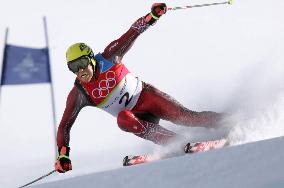 Austria's Maier wins bronze in men's alpine skiing giant slalom