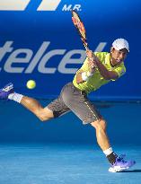 Nishikori advances to semifinal in Mexico Open