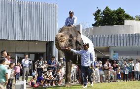 Elephant visits art museum in Chiba, eastern Japan