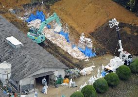 Culling of chickens begins at Miyazaki farm after bird flu outbreak