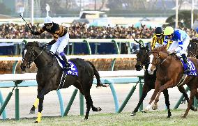 Arima Kinen horserace