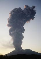 Sakurajima eruption