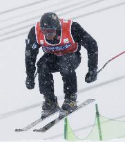 Kobayashi wins World Cup ski cross crown