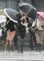 Typhoon lands in Japan