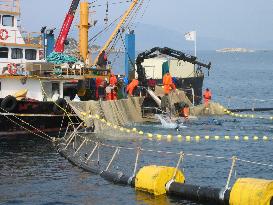 Japan imports tuna illegally caught by Turkey