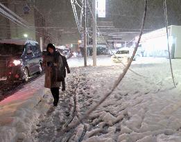 Heavy snowfall hits southwestern Japan
