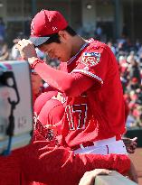 Baseball: Shohei Ohtani
