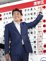 Japan upper house election