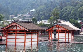 Itsukushima Shrine flooded