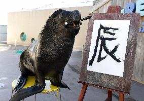 Sea lion practices New Year calligraphy