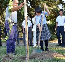 Japanese high school girl plants cherry tree at pope's summer retreat