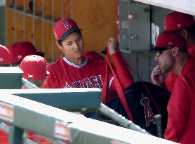 Baseball: Ohtani at Angels spring training