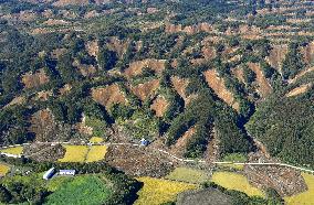 One month after Hokkaido quake