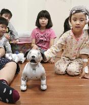 Therapy using Aibo robot dog