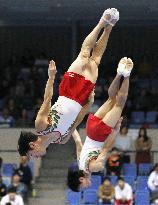 Trampoline: all-Japan championships