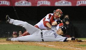 L.A. Angels beat N.Y. Yankees 7-6 in Game 5 of AL Champion Series