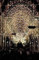 Kobe 'Luminarie' test illumination