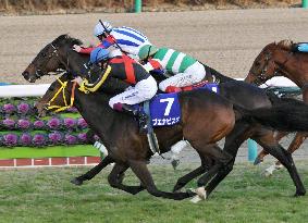 Victoire Pisa wins Arima Kinen