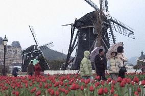 (11)Dutch city Huis Ten Bosch