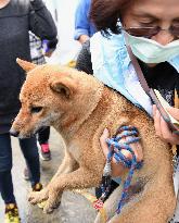 Pet dog rescued six days after quake in Taiwan