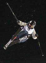 Skiing: Onozuka 1st Japanese to win halfpipe gold at worlds