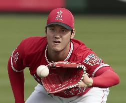 Baseball: Ohtani at Angels spring training