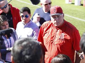 Baseball: Angels manager Mike Scioscia