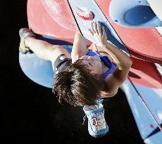 Sport climbing: World championships in Japan