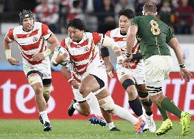 Rugby World Cup in Japan: Japan v South Africa