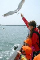 Disaster area kids invited for cruise