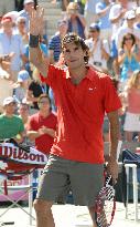 Federer crushes Stepanek at U.S. Open tennis tournament
