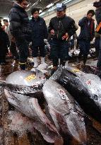 Year's 1st fish auction held at Tsukiji market