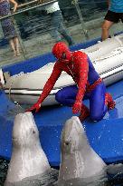 \"Spiderman\" tamps White Whale In Shanghai