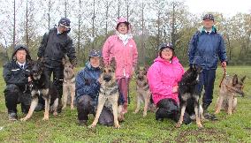 3-generation German shepherd family takes exam to become police dogs