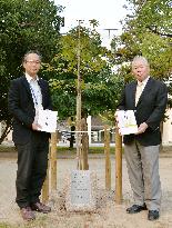 Nikko Toshogu Shrine, Hiroshima city exchange trees for peace
