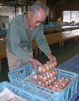 (2)Ban on Kyoto farm shipments over bird flu lifted
