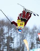 Skiing: Martinod claims victory in women's halfpipe event