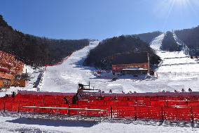 Pyeongchang Olympics