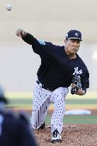 Baseball: Masahiro Tanaka