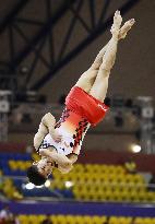 Gymnastics: Kenzo Shirai at world championships