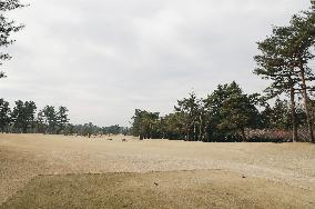 Tokyo Olympics golf venue