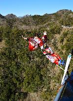 Bungee jumping in coming-of-age celebration