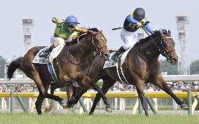Horse racing: Makahiki edges Satono Diamond for Japanese Derby crown